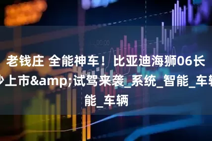 老钱庄 全能神车！比亚迪海狮06长沙上市&试驾来袭_系统_智能_车辆