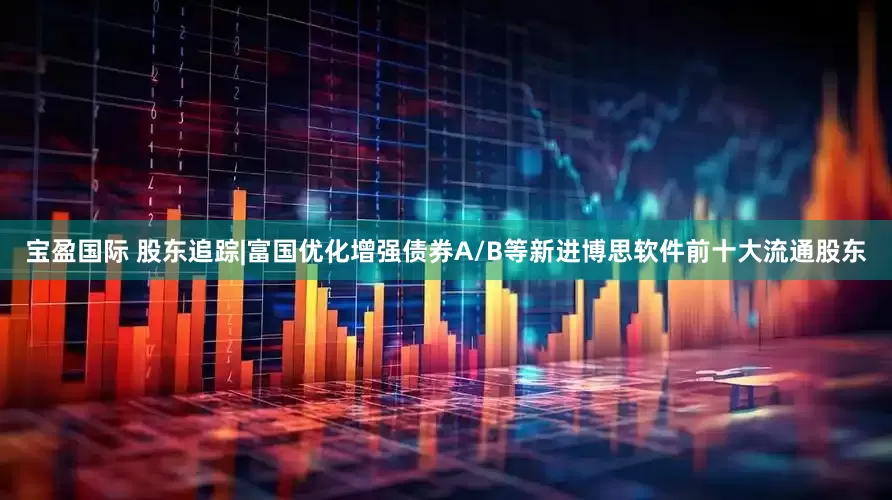 宝盈国际 股东追踪|富国优化增强债券A/B等新进博思软件前十大流通股东