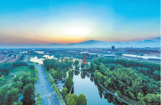 趣投顾 我眼中的绿色风景线​