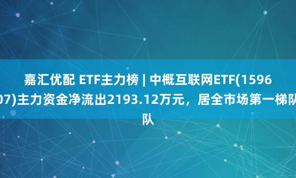 嘉汇优配 ETF主力榜 | 中概互联网ETF(159607)主力资金净流出2193.12万元，居全市场第一梯队
