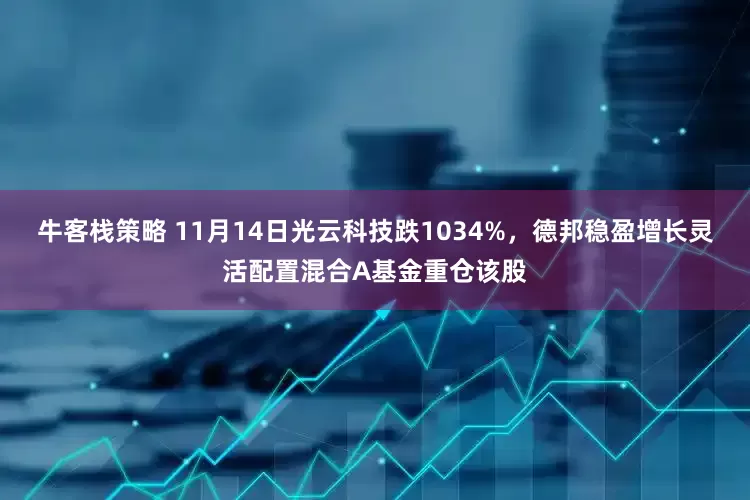 牛客栈策略 11月14日光云科技跌1034%，德邦稳盈增长灵活配置混合A基金重仓该股